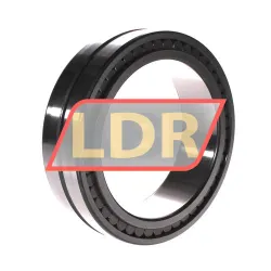 INA SL024922-A rulman resim 3