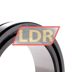 INA SL014928-A-C3 rulman resim 2