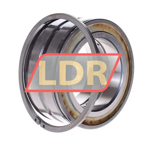 INA SL045015-PP-2NR
