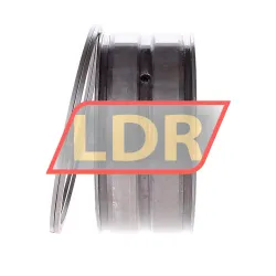 INA SL045015-PP-2NR rulman resim 2