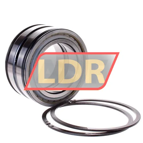 INA SL045014-PP-2NR