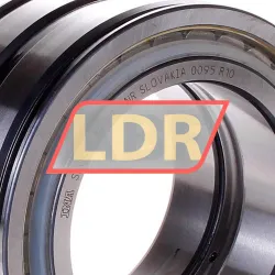 INA SL045014-PP-2NR rulman resim 2