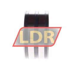 INA SL045015-PP-C3 rulman resim 2