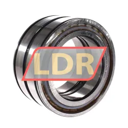 INA SL045018-D-PP-C3
