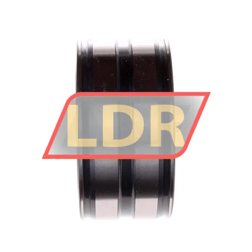 INA SL045011-PP-C3