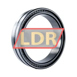 INA SL024838-A-C3 rulman resim 2