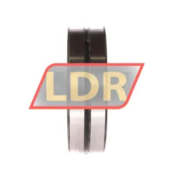 INA SL024916-A rulman resim 2