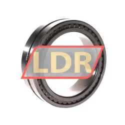 INA SL024916-A rulman resim 3
