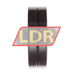 INA SL184918-A rulman resim 3