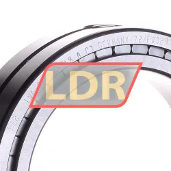 INA SL014918-A-C3 rulman resim 2