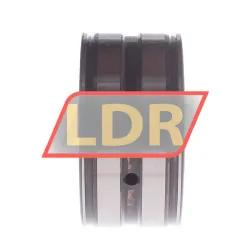 INA SL045010 rulman resim 2