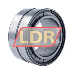 INA SL18-5017A rulman resim 2