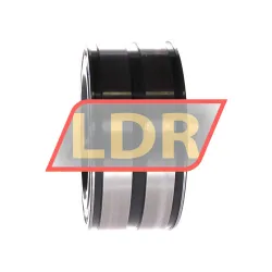 INA SL045017-D-PP-C3 rulman resim 2
