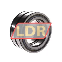 INA SL045017-D-PP-C3 rulman resim 3
