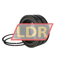 INA SL04130-D-PP-2NR