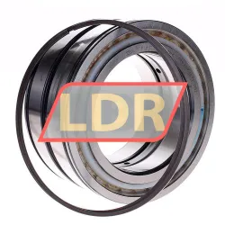 INA SL045022-D-PP-2WR