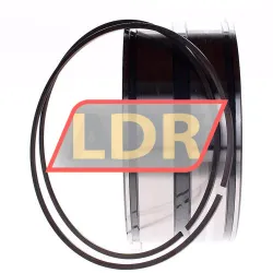 INA SL045022-D-PP-2WR rulman resim 2