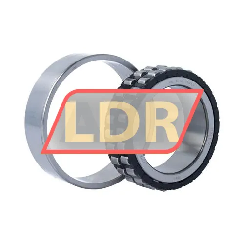 SKF NN3014TN/SP