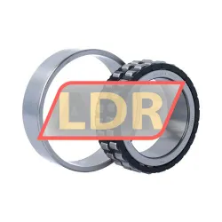 SKF NN3014TN/SP