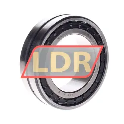 SKF NN3011KTN/SPW33