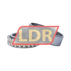 NTN NN3010C1NAP4 rulman resim 3