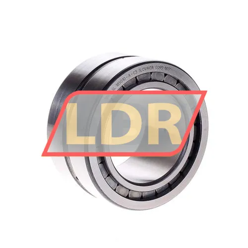 INA SL18-5010C3