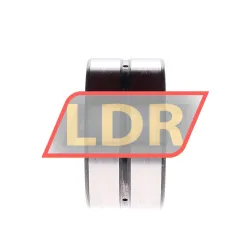 INA SL18-5010C3 rulman resim 2