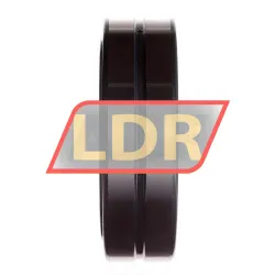 INA SL02-4918A rulman resim 3