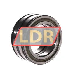 INA SL04-5013PP