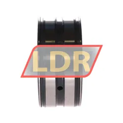 INA SL04-5013PP rulman resim 2