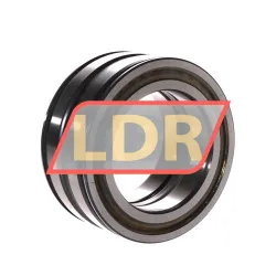 INA SL04-5013PP rulman resim 3