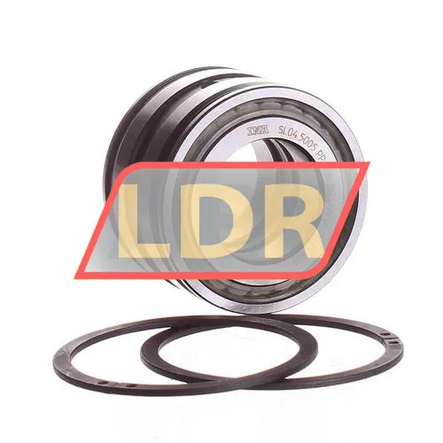INA SL045005-PP-2NR