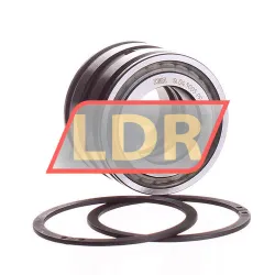 INA SL045005-PP-2NR