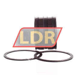 INA SL045005-PP-2NR rulman resim 2