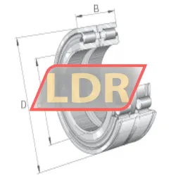 INA SL045005-PP-2NR rulman resim 4