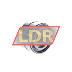 INA SL18-5007A rulman resim 2