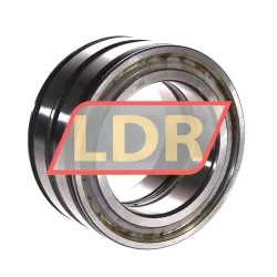 INA SL04-5015PP