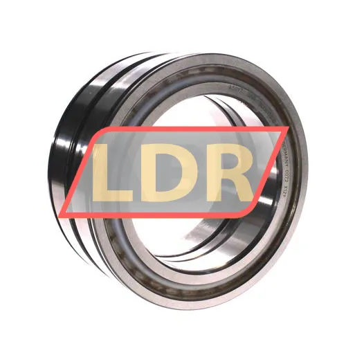 INA SL04130-D-PP-C3