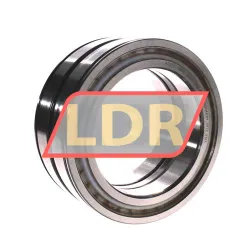 INA SL04130-D-PP-C3