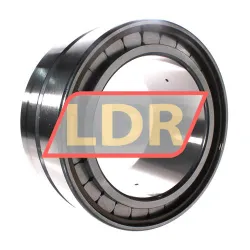 INA SL185032-A-C3 rulman resim 3
