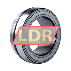 INA SL06026-E rulman resim 2