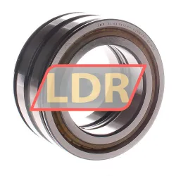 INA SL04-5012PP
