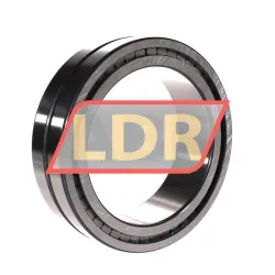 INA SL18-4924