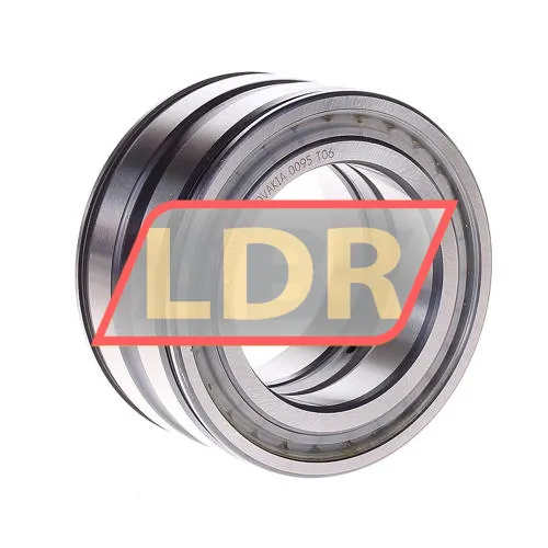 INA SL045010-PP