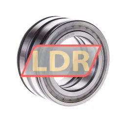 INA SL045010-PP