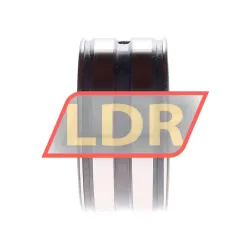 INA SL045010-PP rulman resim 2