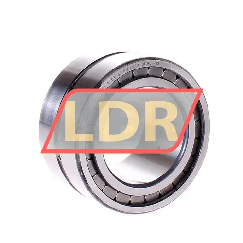INA SL18-5011C3