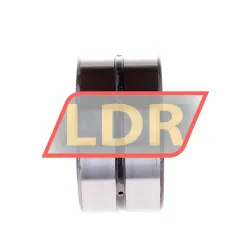 INA SL18-5011C3 rulman resim 2