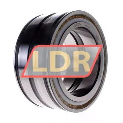 INA SL045028-PP