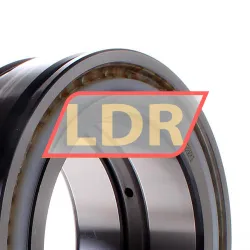 INA SL045028-PP rulman resim 2